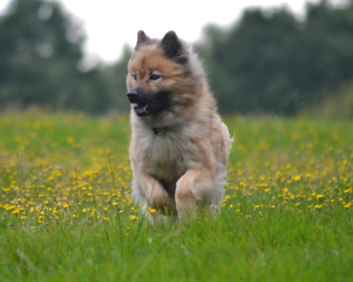 2016-08-18 00.06.27-2