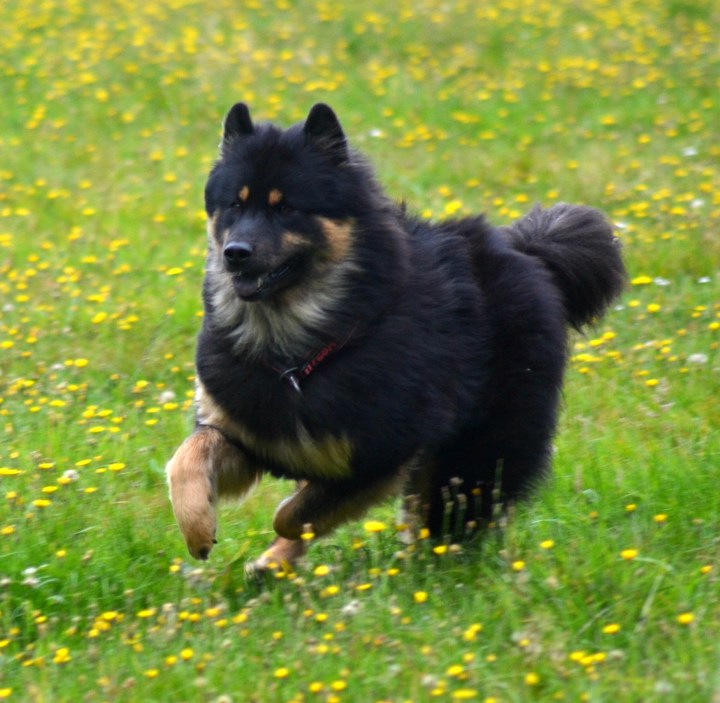 2016-08-18 00.06.31-1