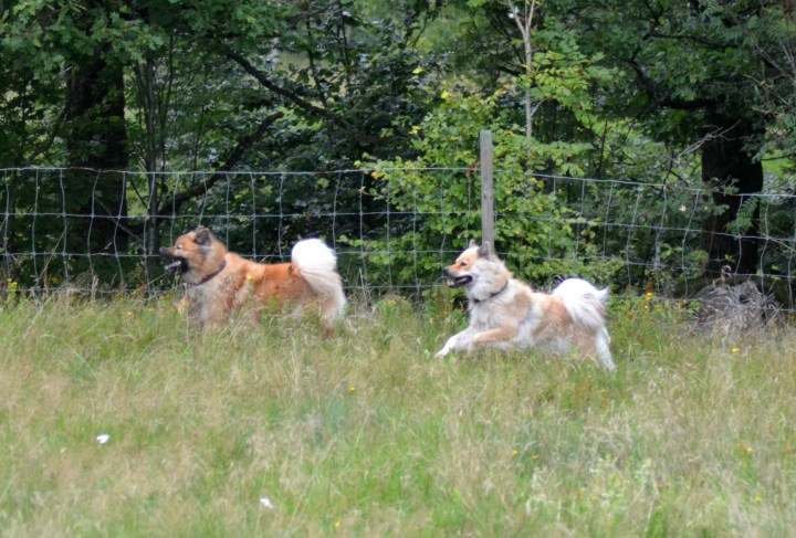 2016-08-18 00.11.28-1