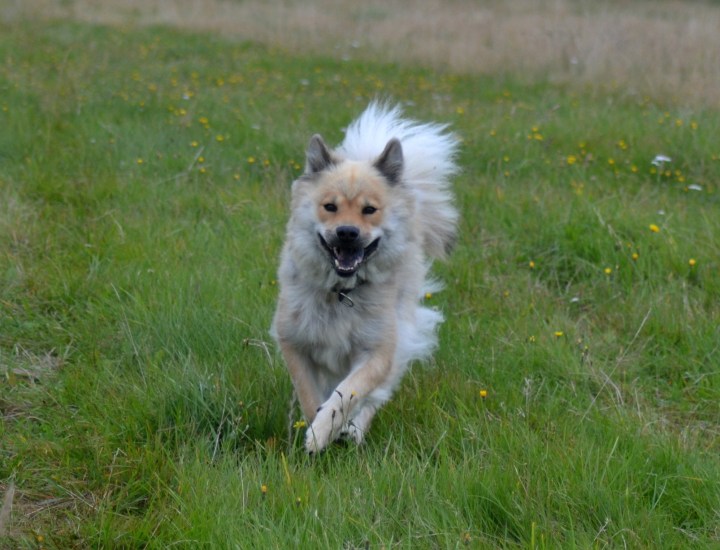 2016-08-18 00.16.36-1