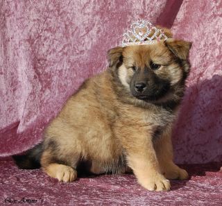 lila sessa.jpg-for-web-normal