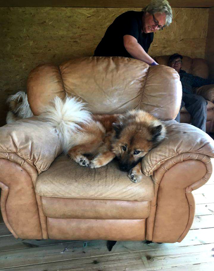 received_10155116057843136 (2)