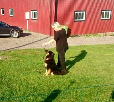 received_1648495865464358 (2)