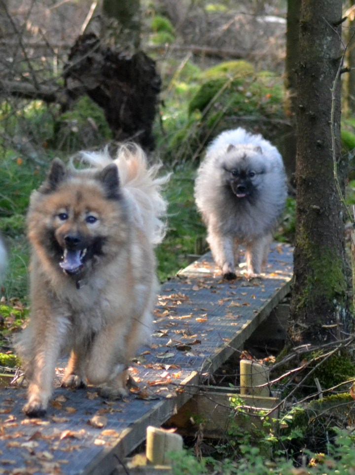 2016-09-14-16-57-22-3