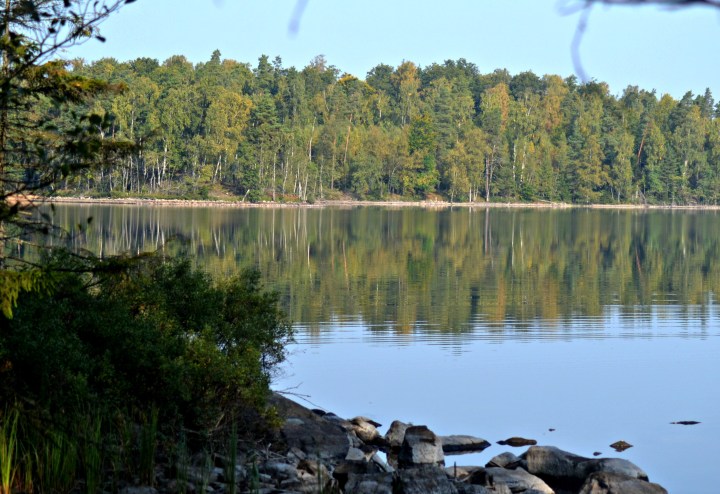 2016-09-14 17.01.36-1.jpg