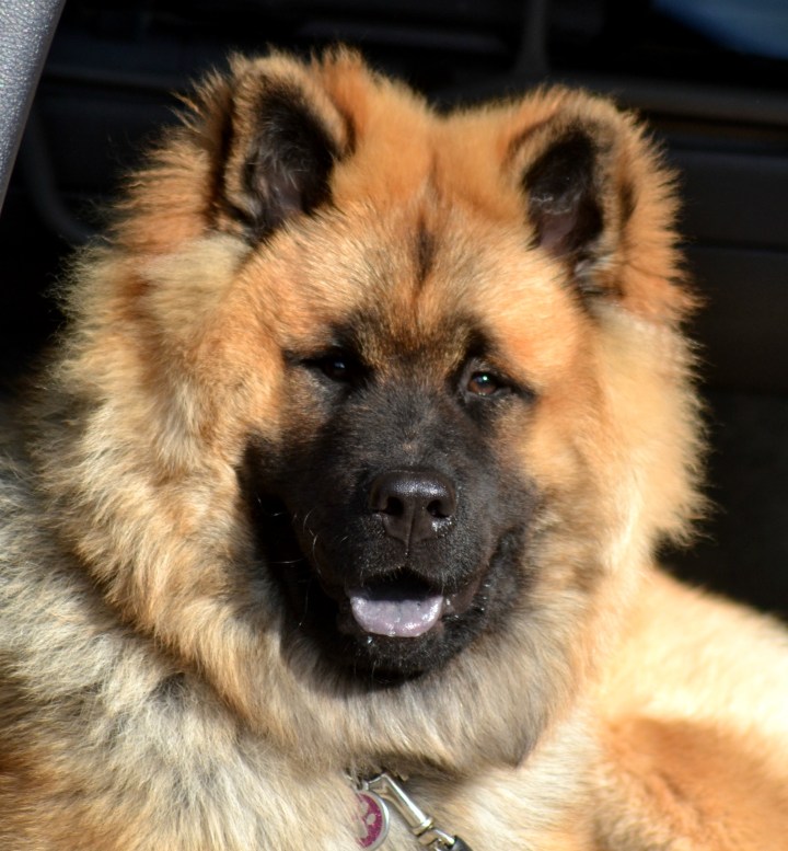 2016-09-15 22.22.38-1.jpg