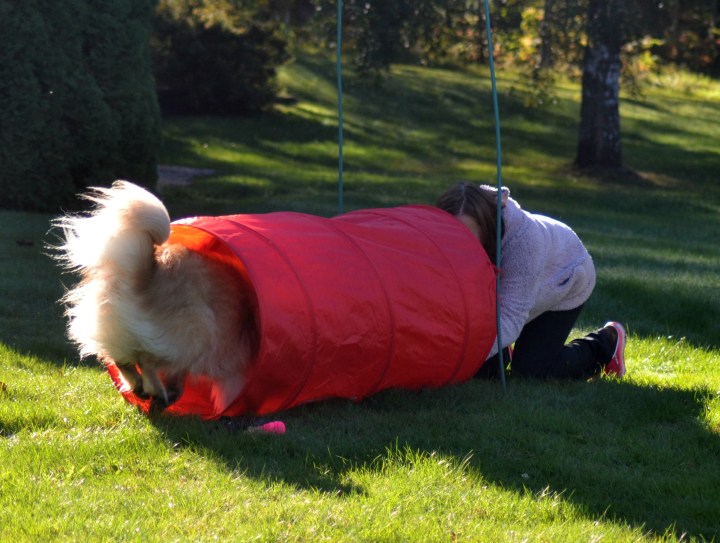 2016-09-16-16-05-51-1