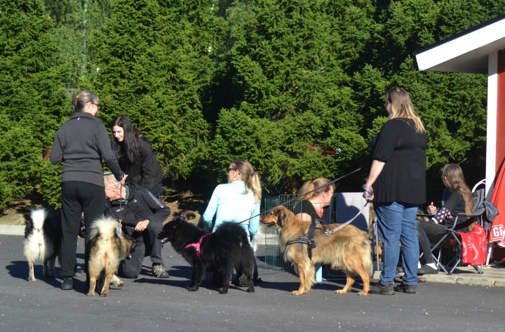 2016-09-16 16.28.12.jpg