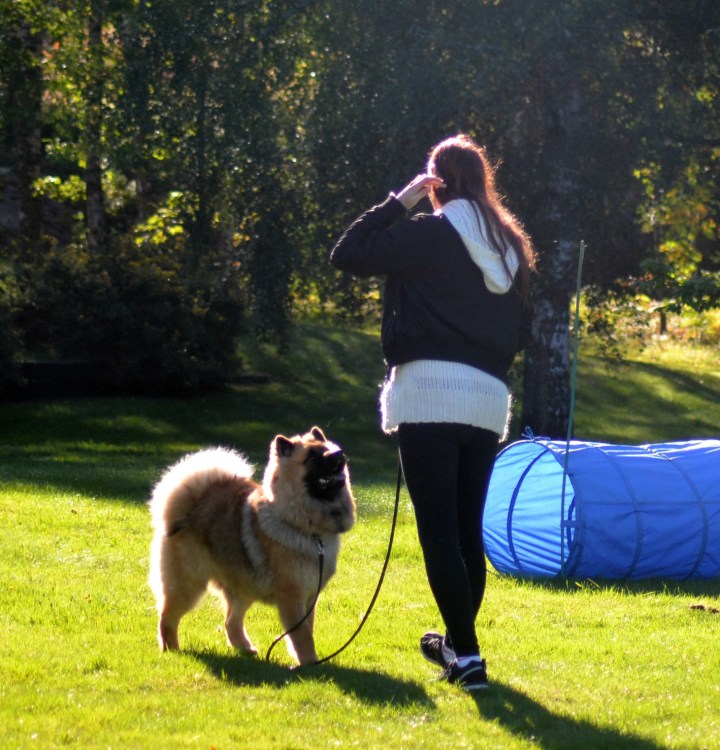 2016-09-16-16-29-21-2