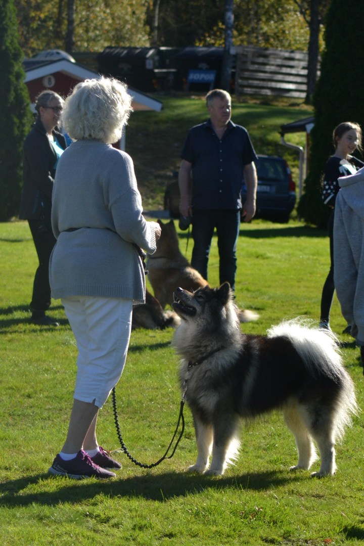 2016-09-16 16.41.20.jpg