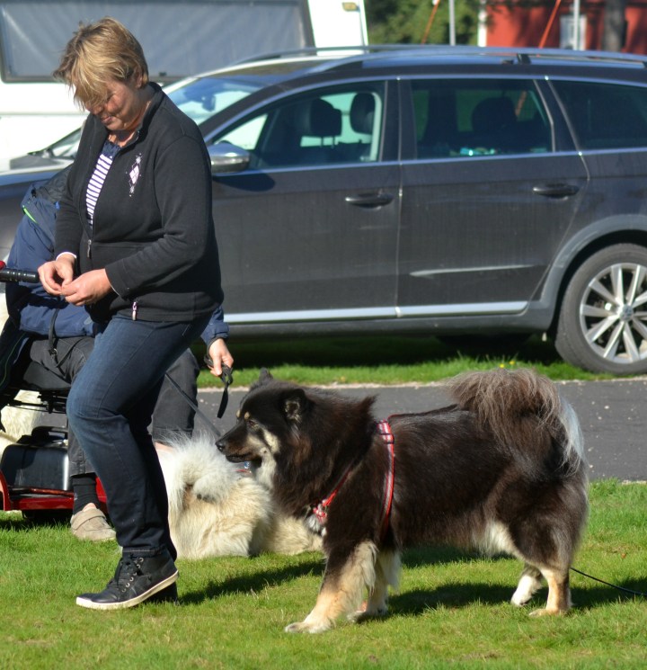 2016-09-16 16.57.15.jpg