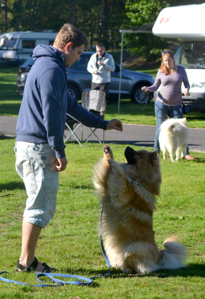 2016-09-16-16-58-54-1