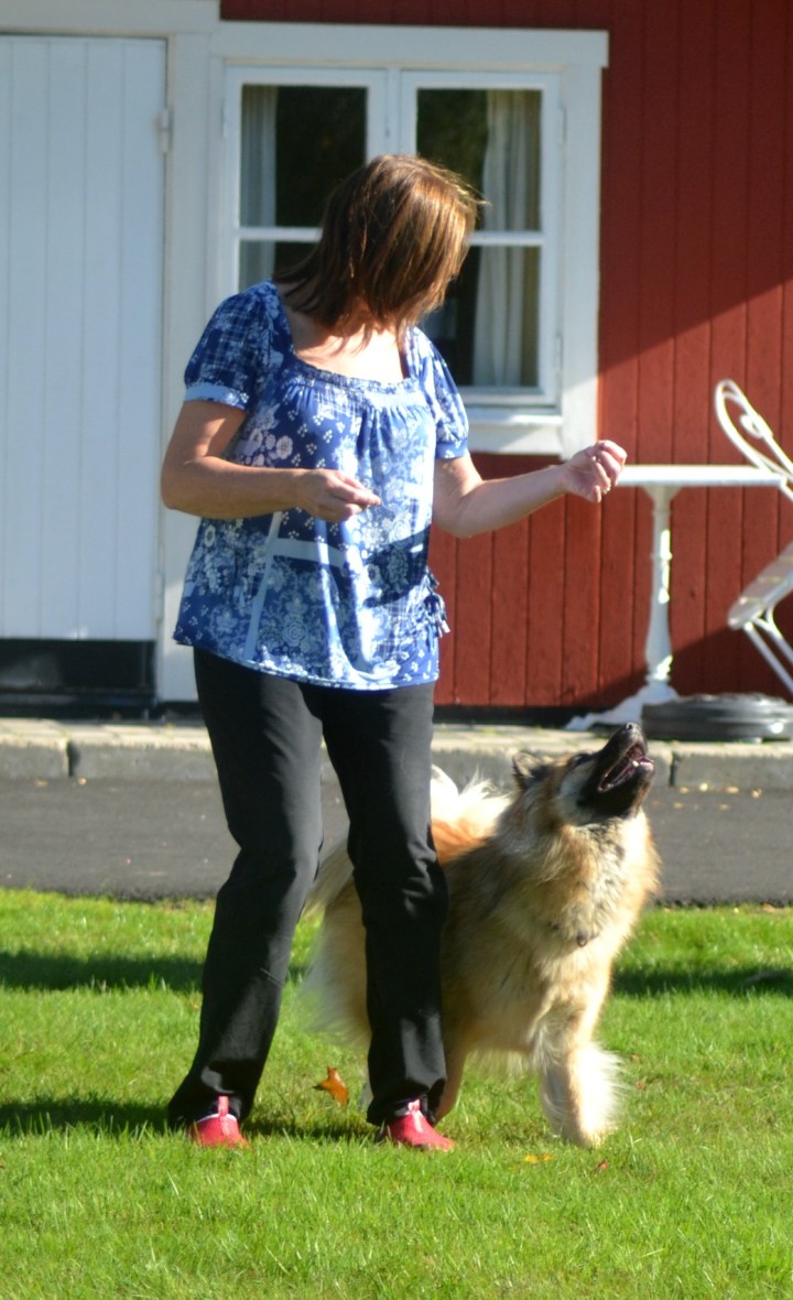 2016-09-16-17-00-31-1