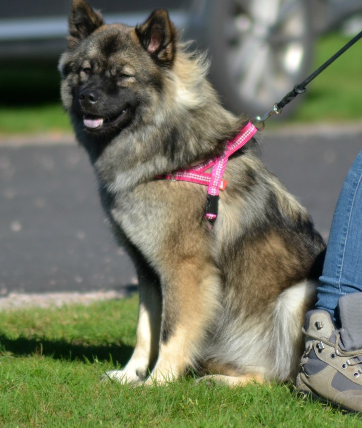 2016-09-16 17.04.34.jpg