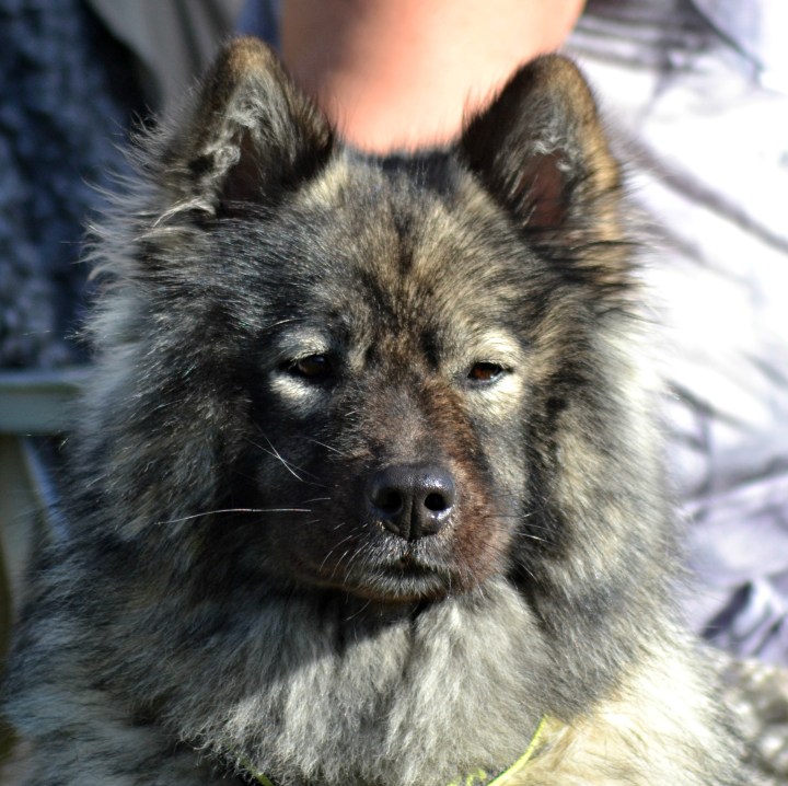 2016-09-16 21.50.55-2.jpg