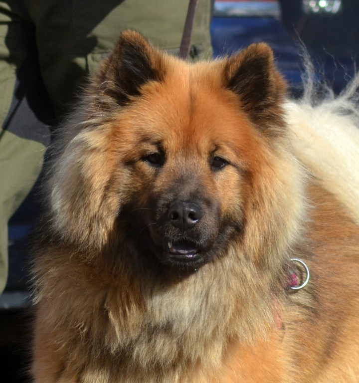 2016-09-16-21-52-28-1