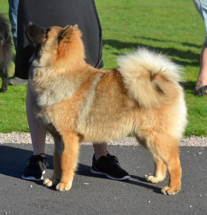 2016-09-16-23-06-45-1