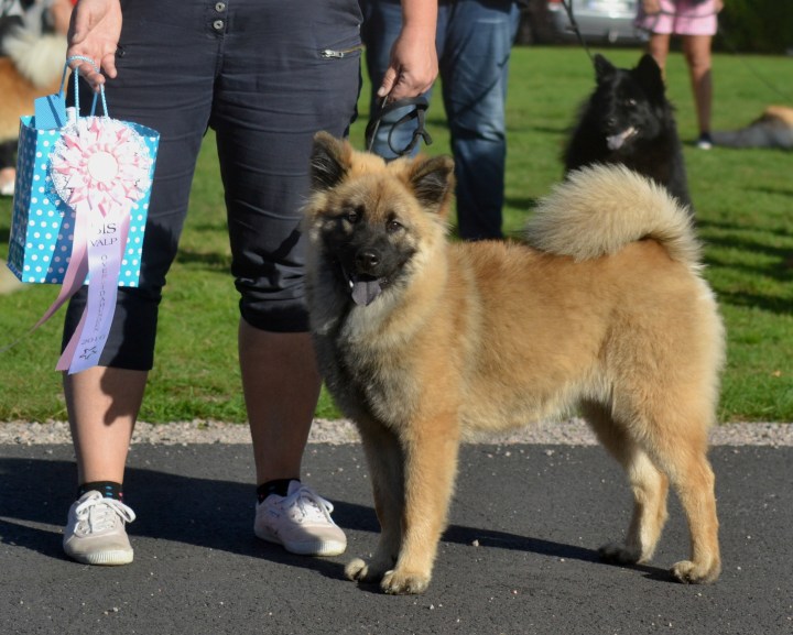 2016-09-16-23-09-54-1