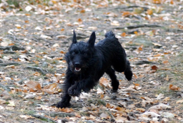 2016-10-12-18-08-38-1