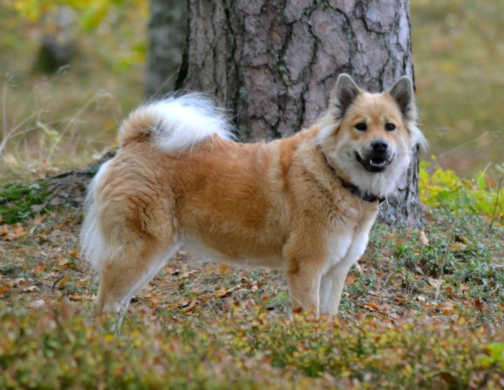 2016-10-12-18-21-06-1