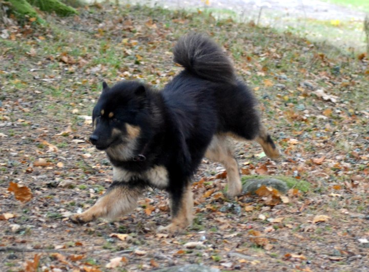 2016-10-12-18-38-19-2