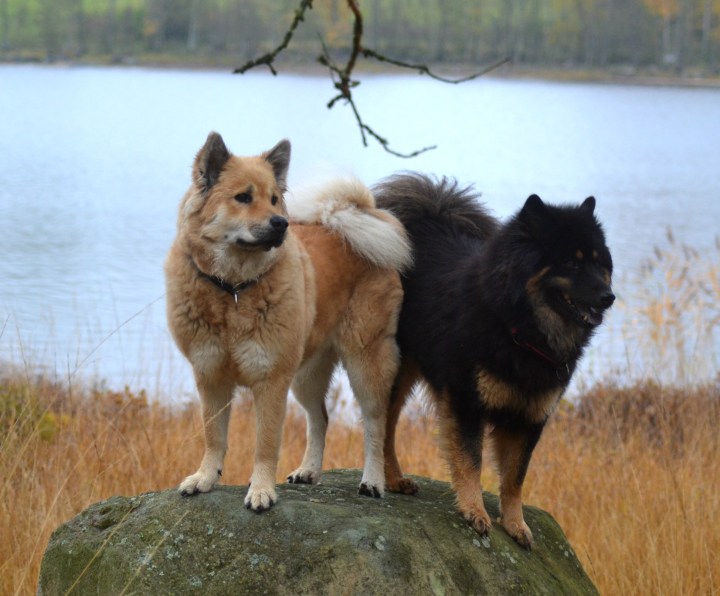 2016-10-19-22-13-13-1