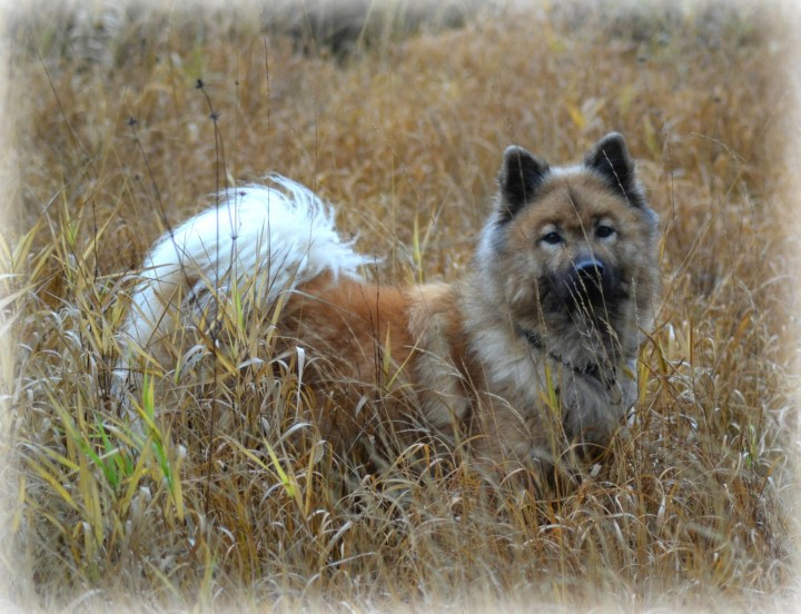 2016-10-19-22-15-32-2