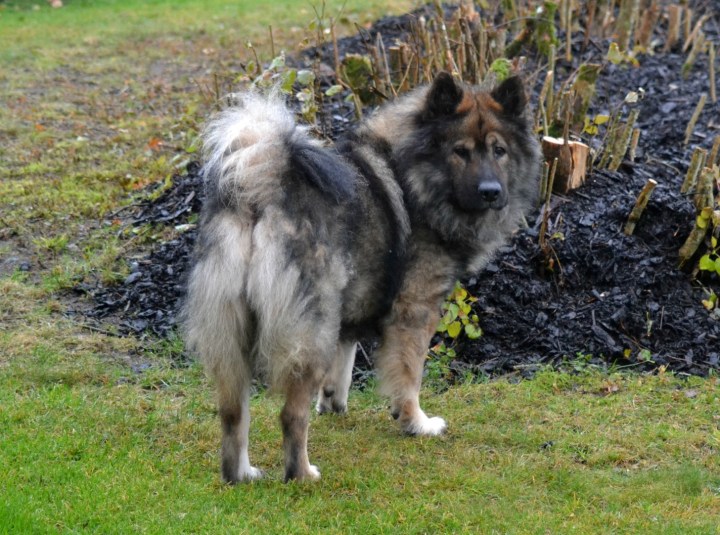 2016-10-21-15-42-14-1