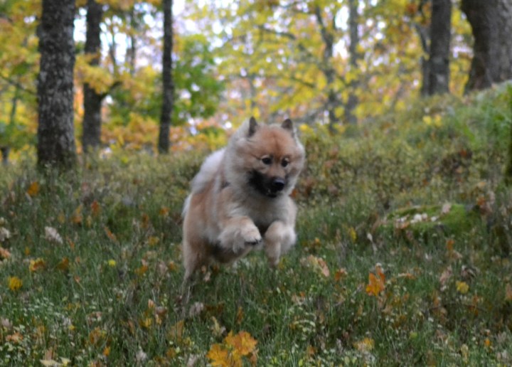 2016-10-21-22-53-49-2