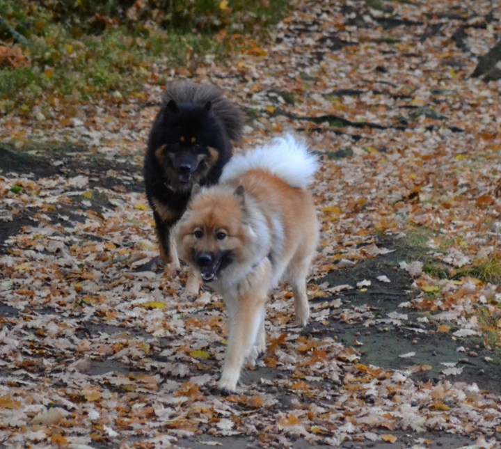 2016-10-21-23-00-12-1