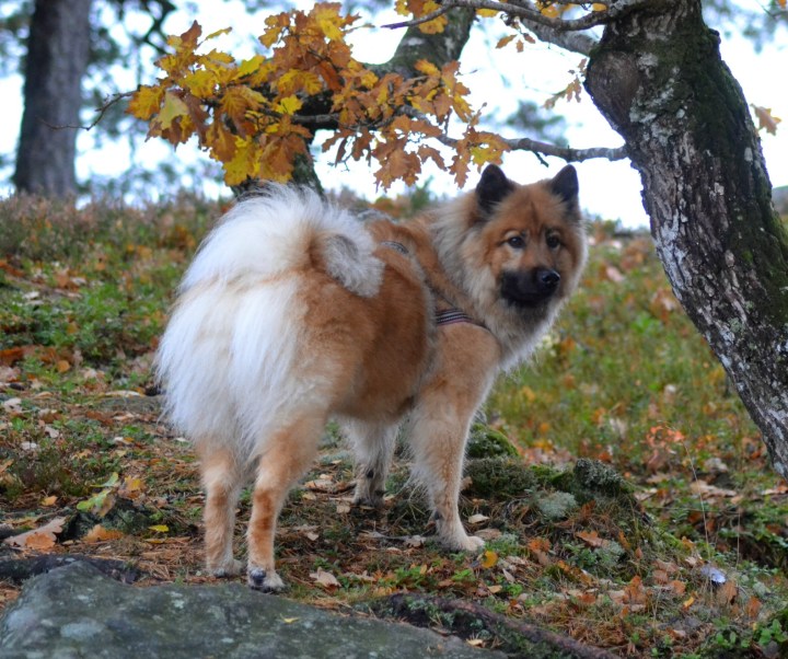 2016-10-21-23-15-31-2