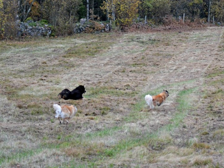 2016-10-23-23-26-25-3