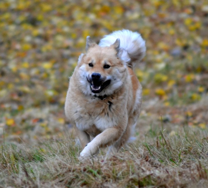 2016-10-23-23-30-18-2