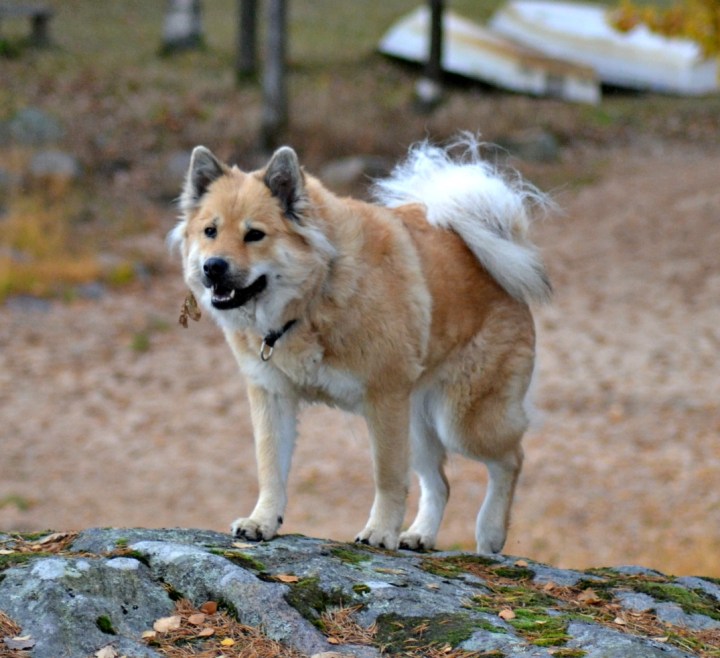 2016-10-24-21-22-25-2