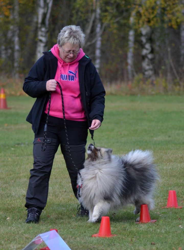 2016-10-26-20-26-54-1