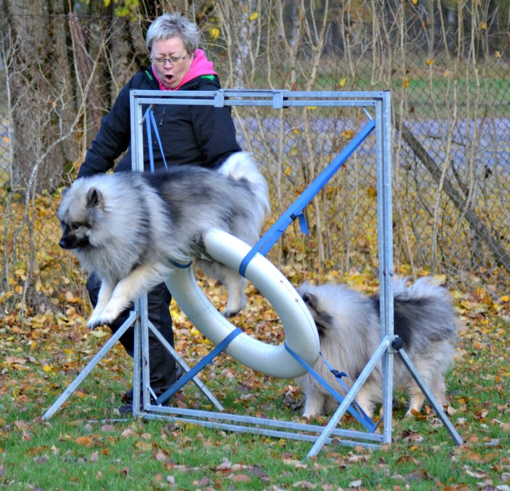 2016-10-26-21-06-03-1