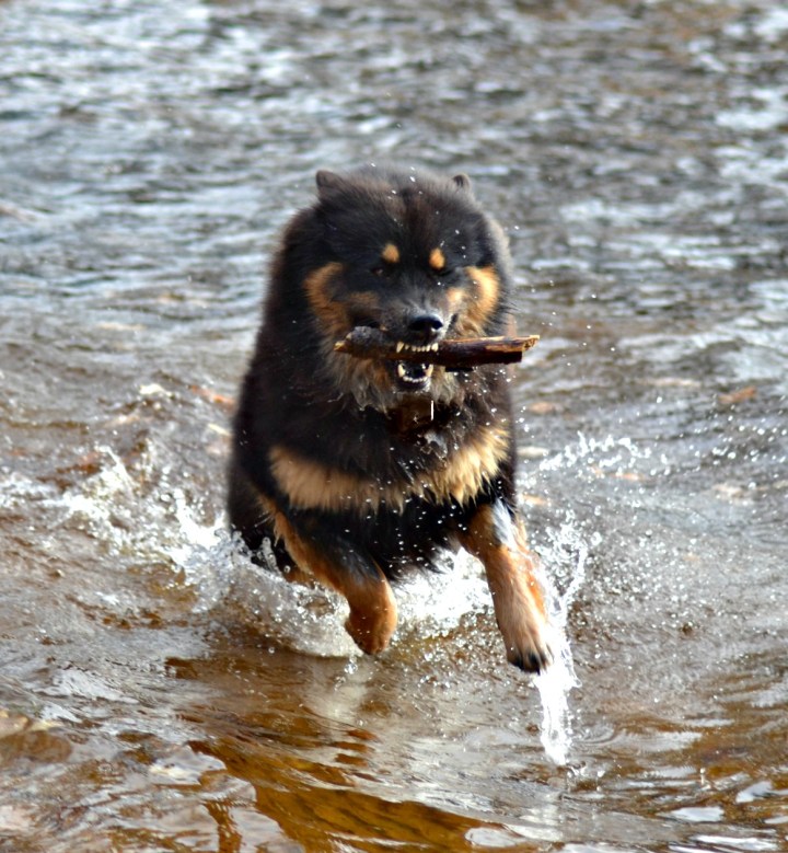 2016-10-31-21-40-03-2