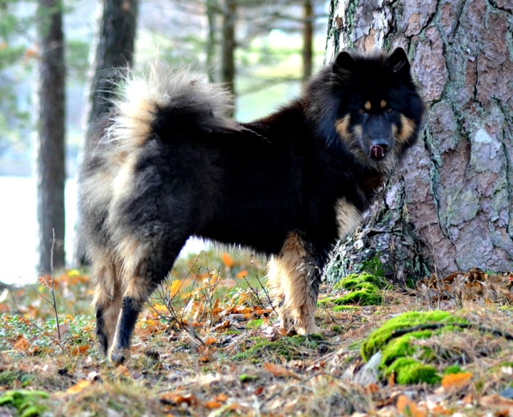 2016-10-31-21-42-46-1