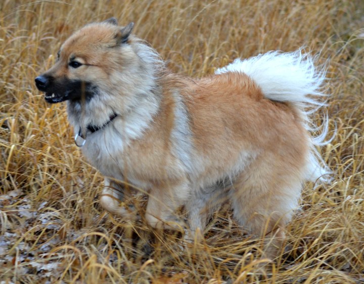 2016-11-04-19-01-40-2