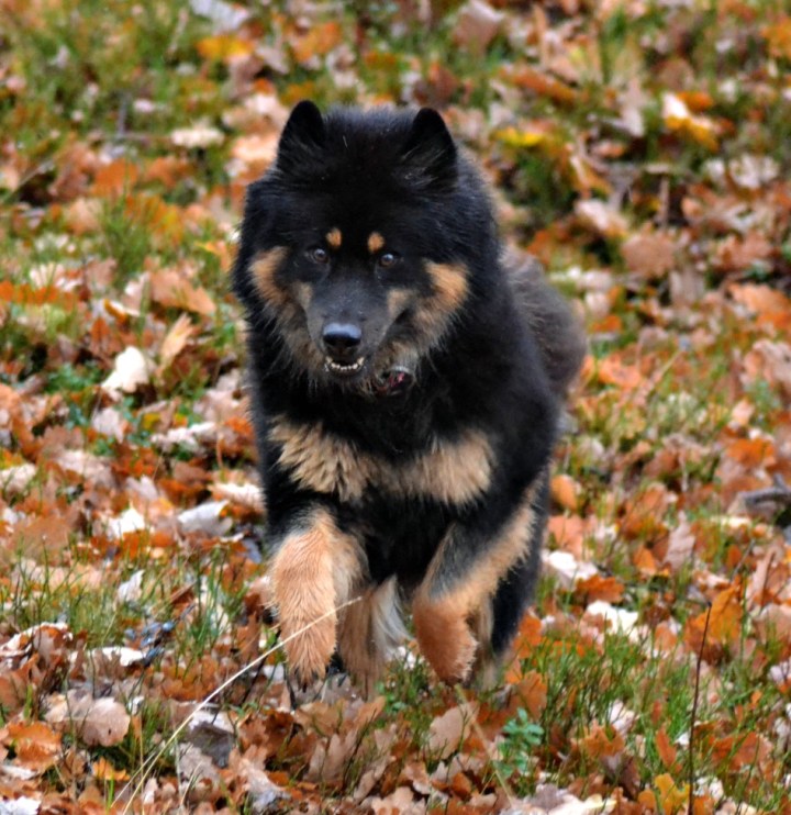 2016-11-04-19-04-01-2