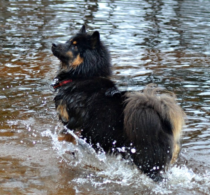 2016-11-04-19-31-09-2