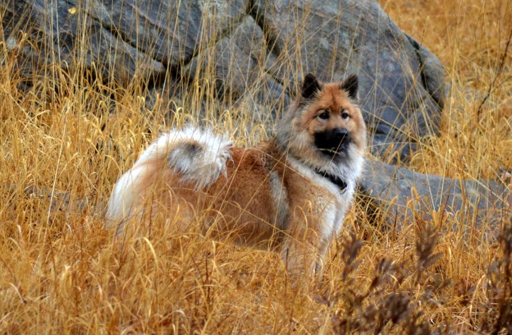 2016-11-04-19-31-53-1