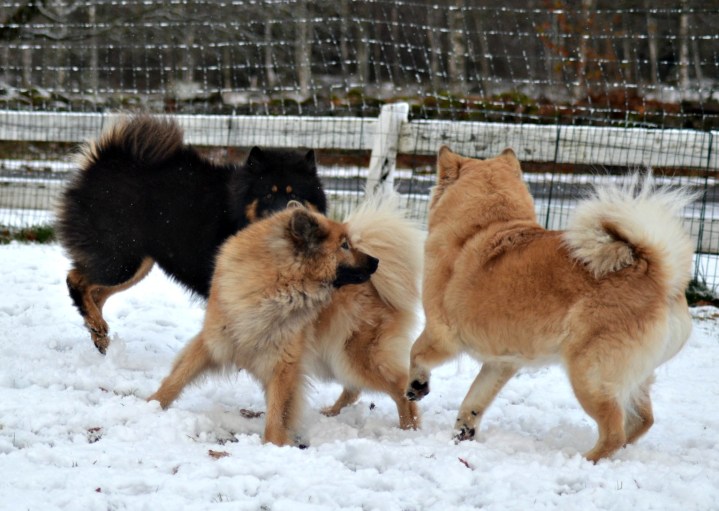 2016-11-05-19-32-57-2