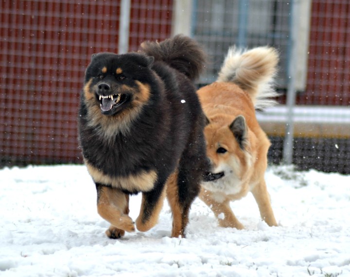 2016-11-05-19-34-01-1