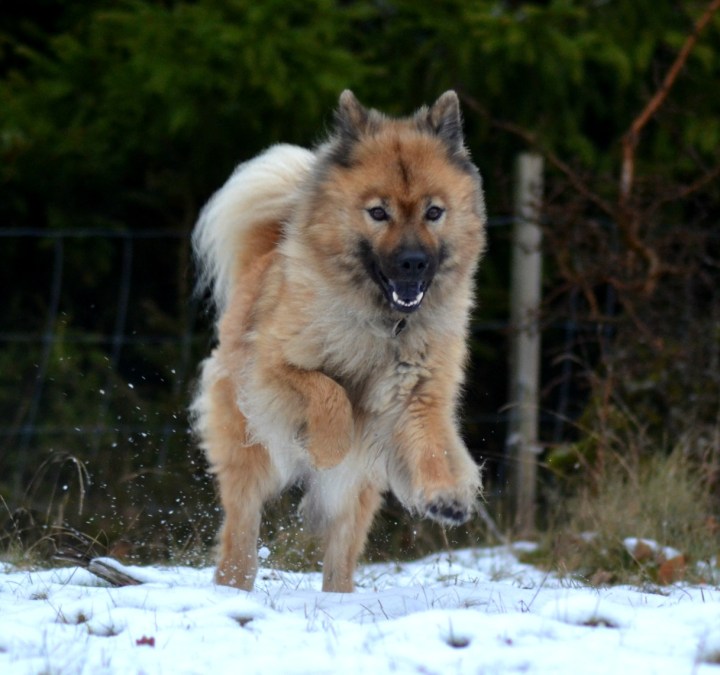 2016-11-11-22-09-27-3