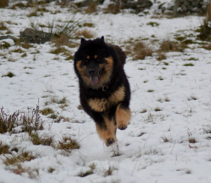 2016-11-11-22-31-15-2