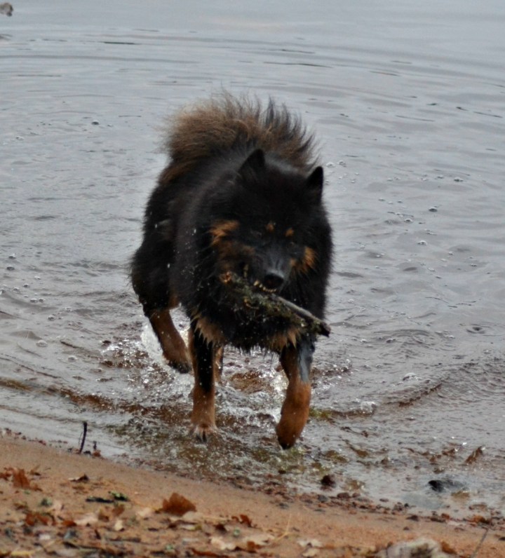 2016-11-30-21-59-25-2