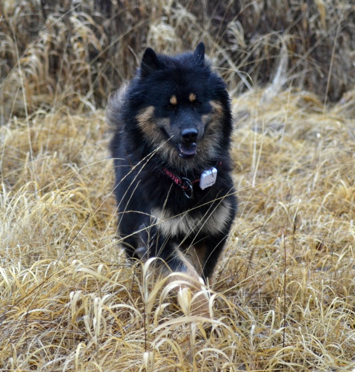 2016-12-12-19-42-13-2