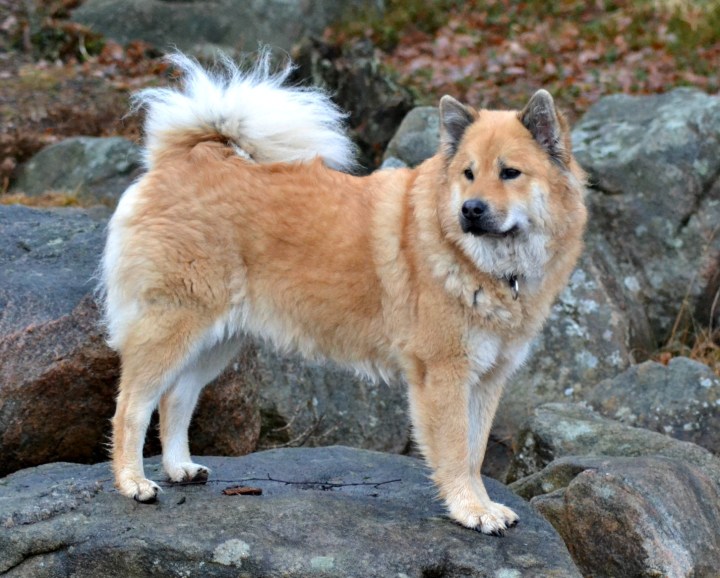 2016-12-12-19-47-47-1