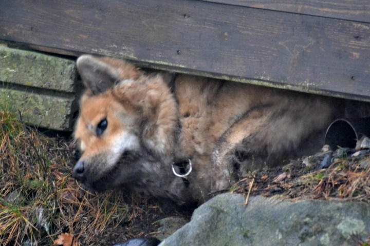 2016-12-12-20-05-08-1